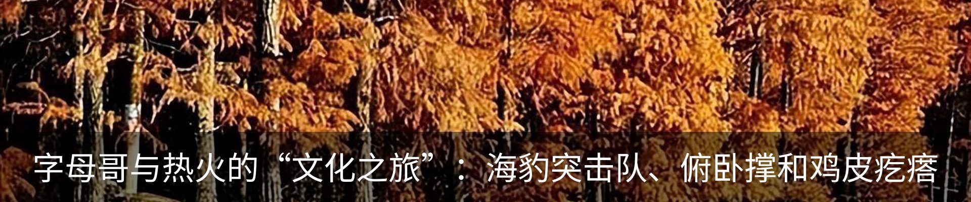 最新动态