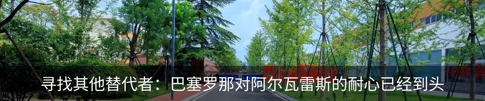 最新动态