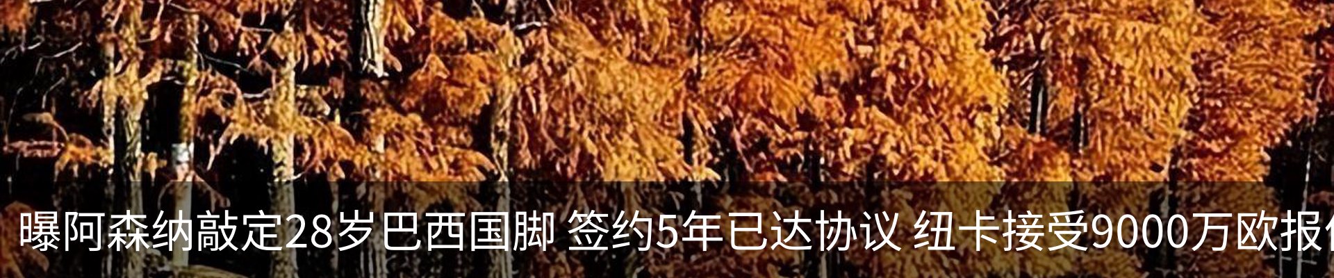 最新动态