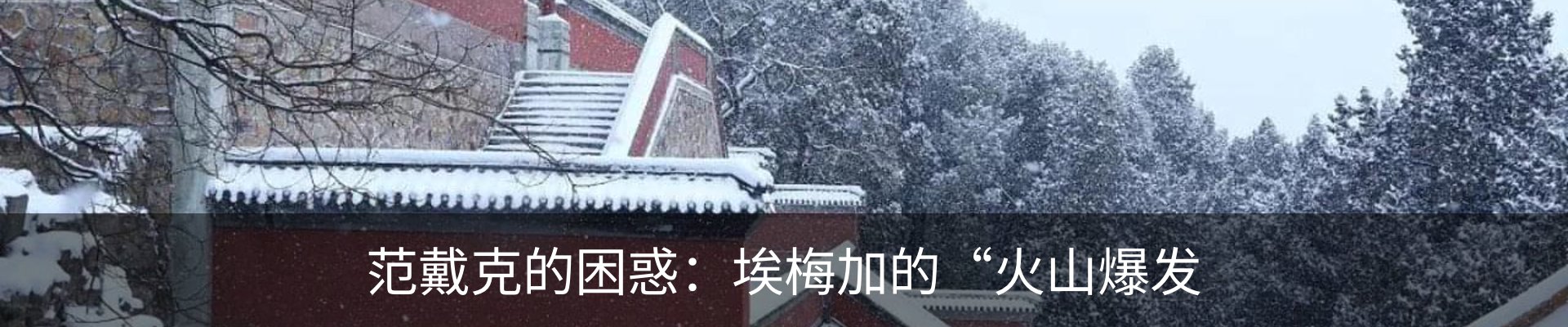 最新动态