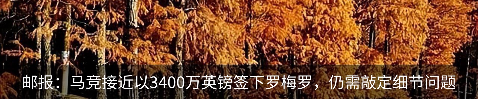 最新动态
